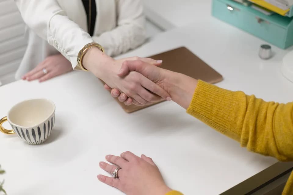 Two professionals shaking hands