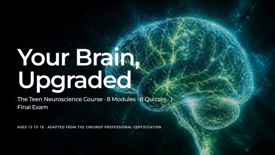 Your Brain, Upgraded Course Cover